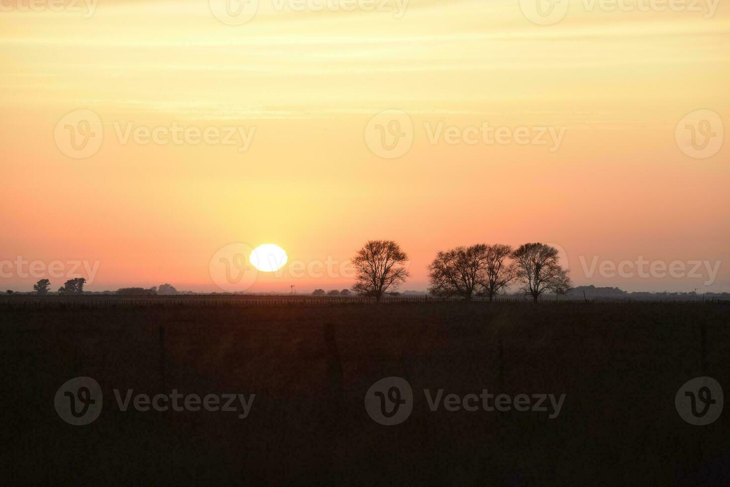 Rural sunset landscape, Buenos Aires province , Argentina photo