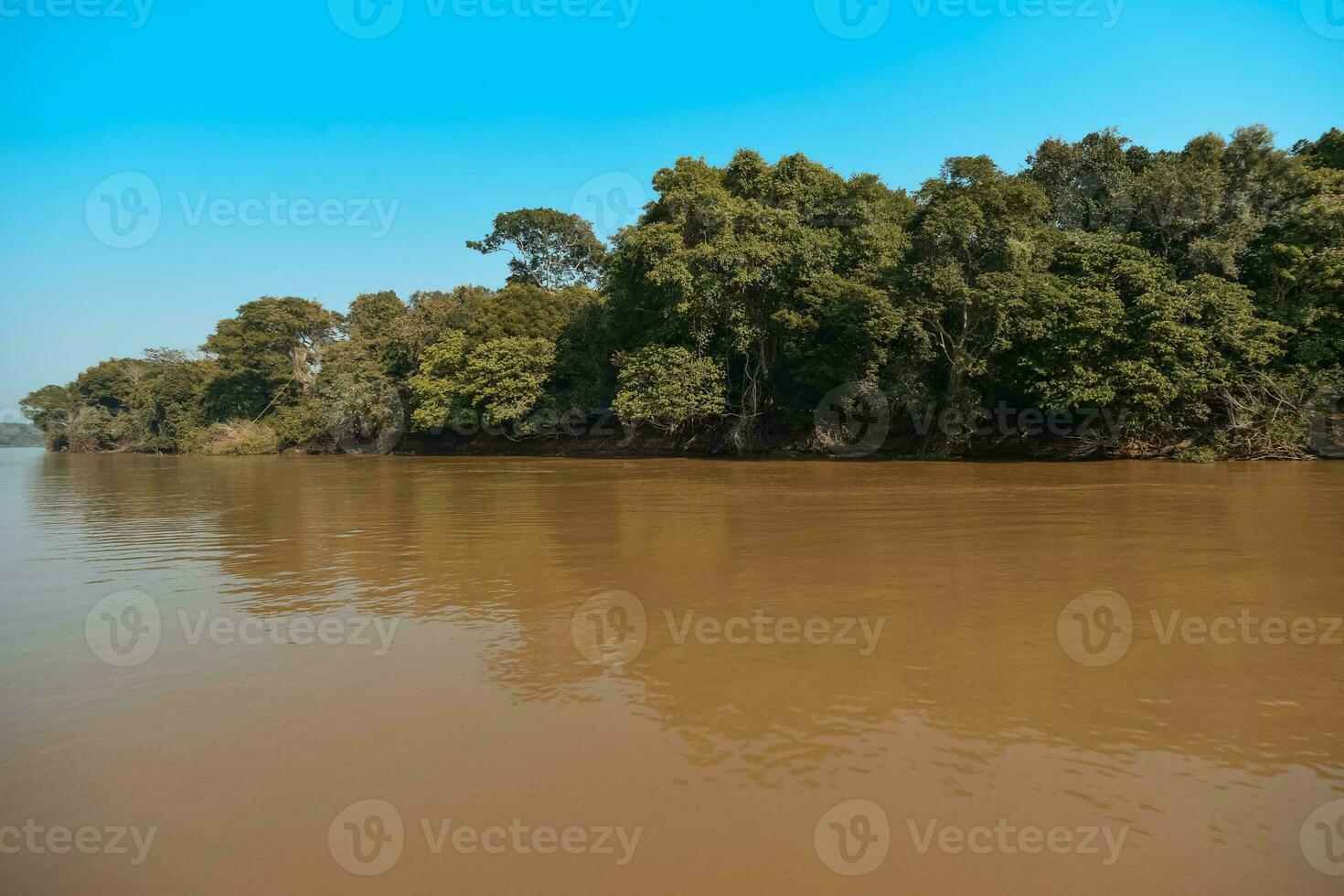 río paisaje y selva,pantanal, Brasil foto