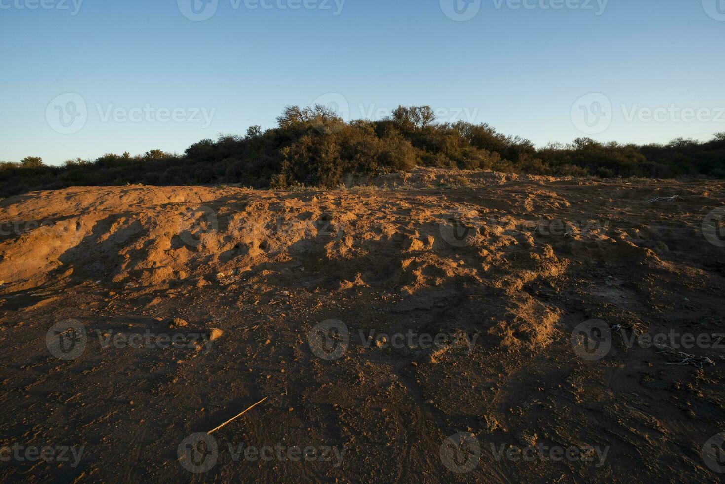 Semi desert environment landcape, La Pampa province, Patagonia, Argentina. photo
