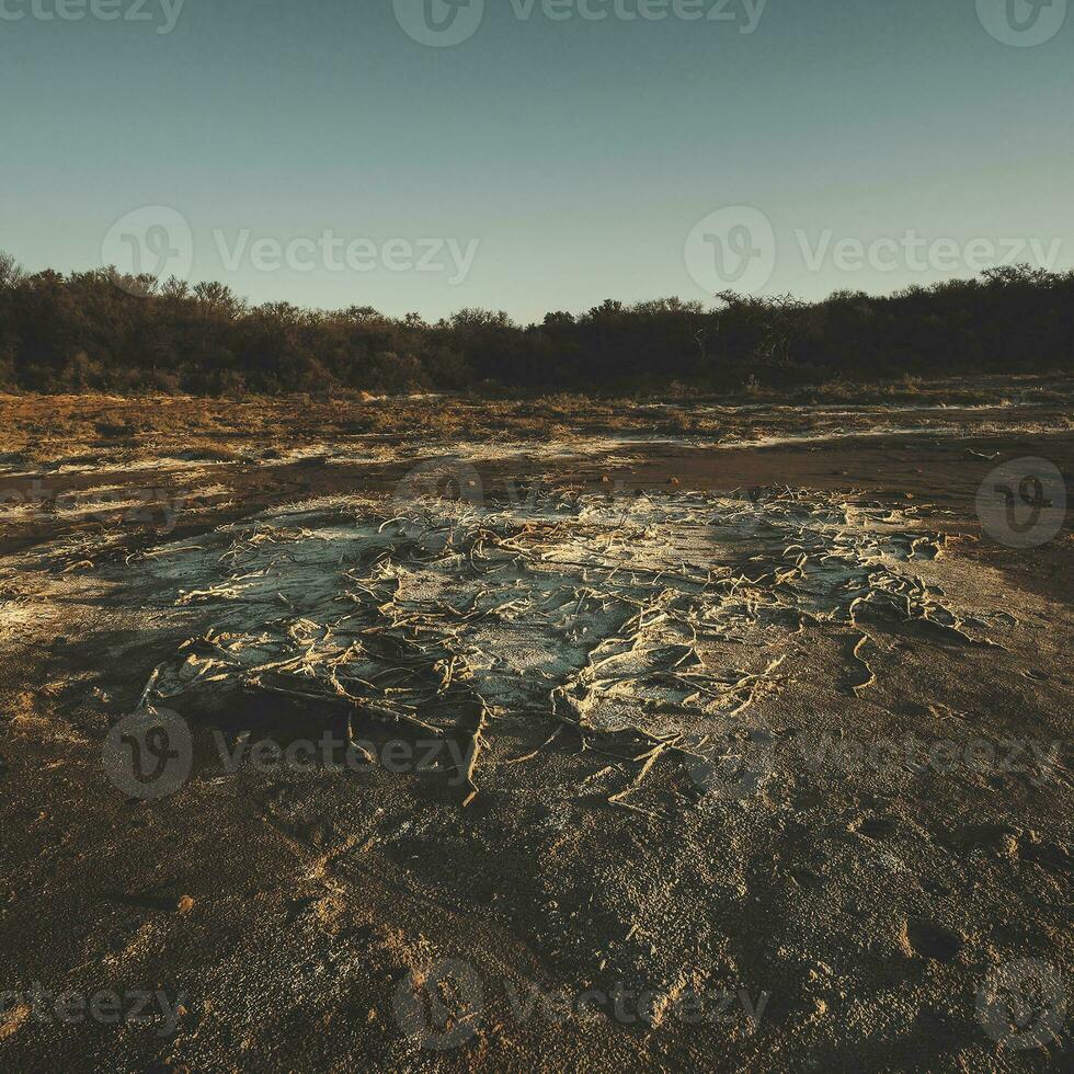 semi Desierto ambiente paisaje, la pampa provincia, Patagonia, argentina. foto