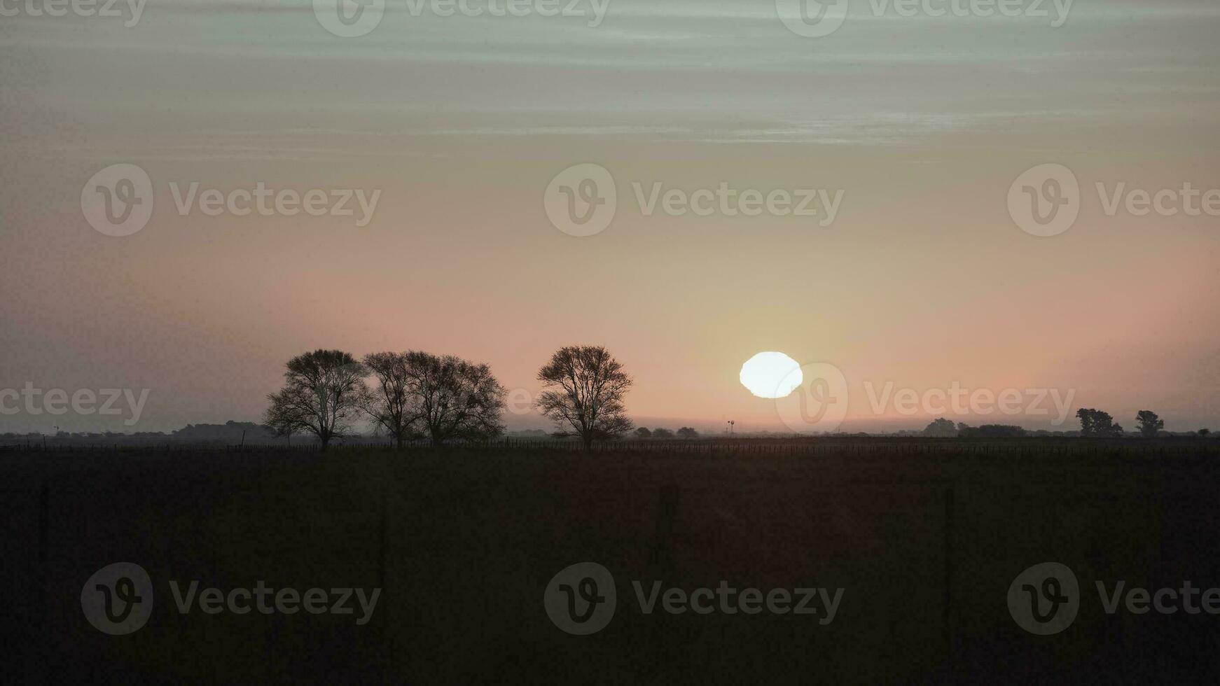 Rural sunset landscape, Buenos Aires province , Argentina photo