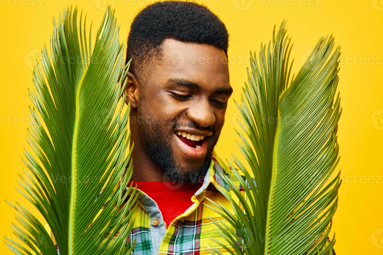 fun man stylish tree american black tropical skin yellow african happy fashion palm photo