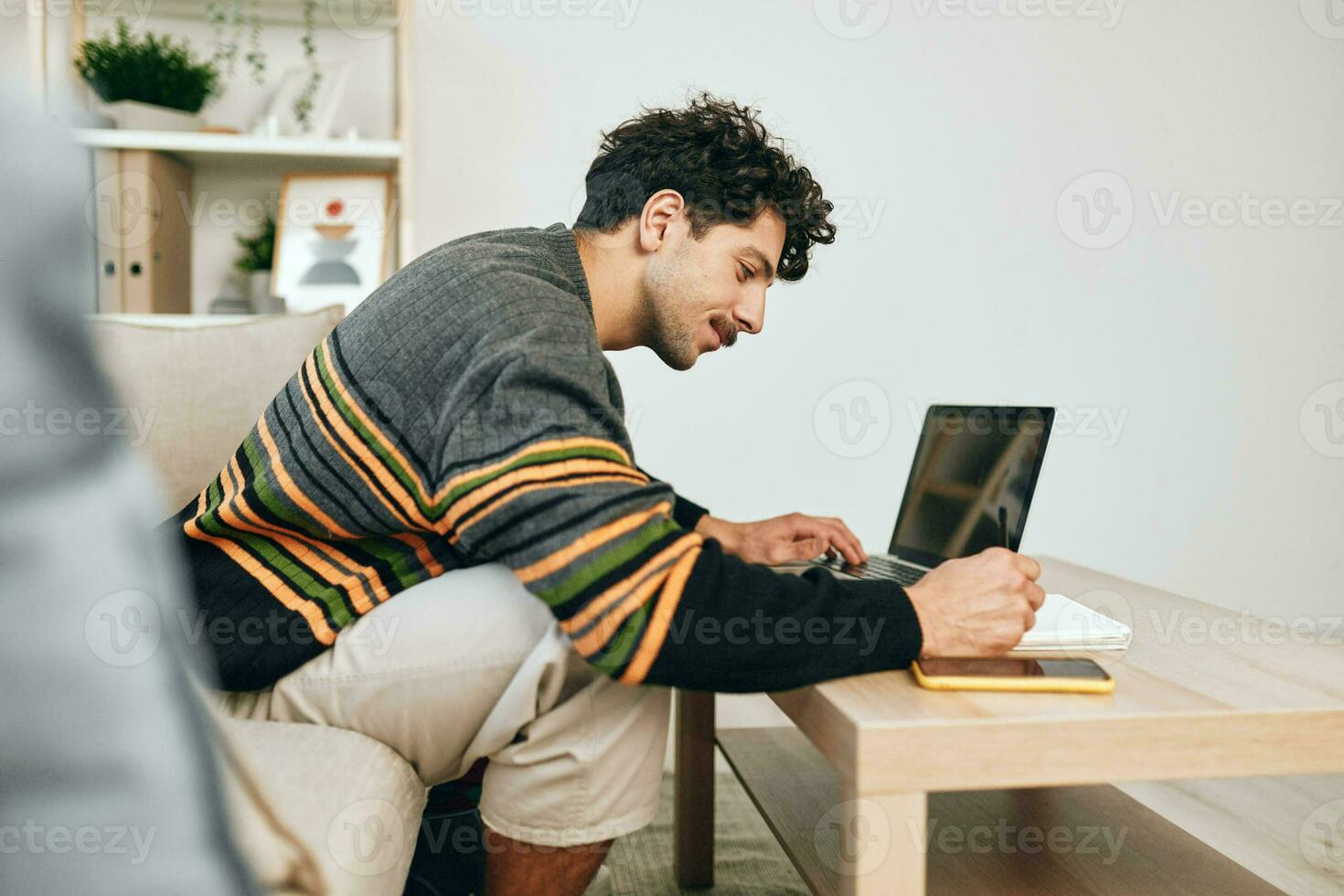 Online man internet young working smile business computer freelance laptop one happiness couch home photo