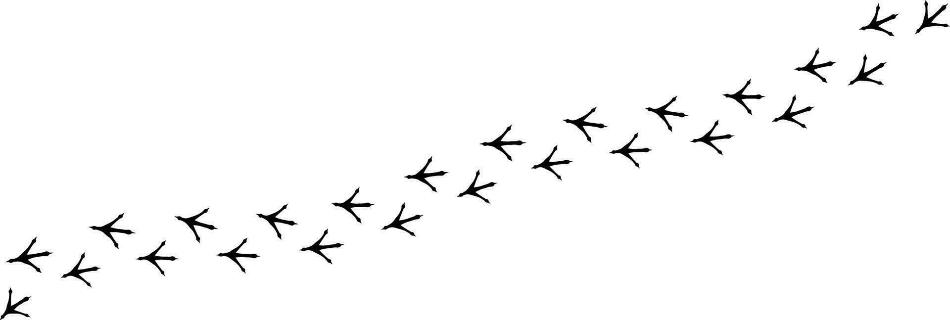 silhouette bird paw print vector