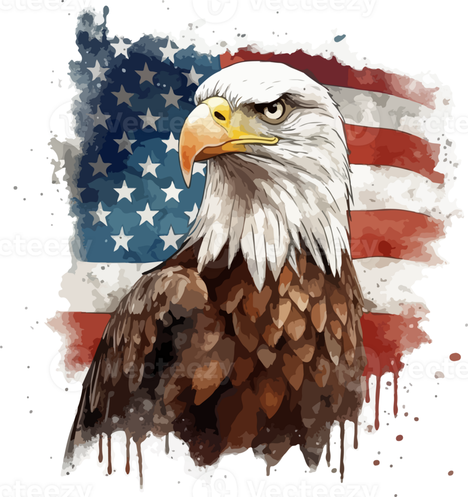 Örn med USA flagga illustration png