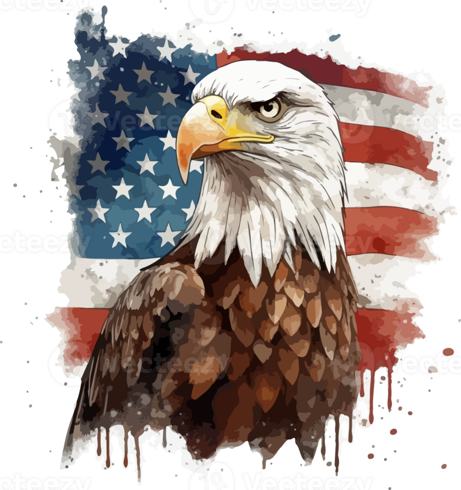 Adler mit USA Flagge Illustration png