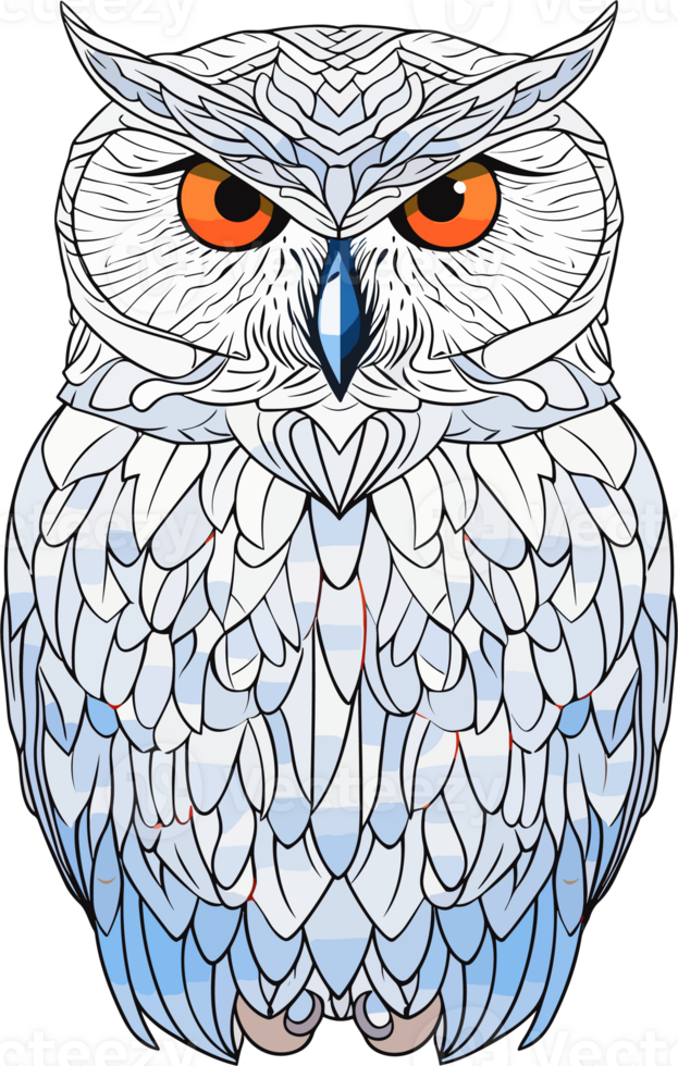 Snow owl Illustration png
