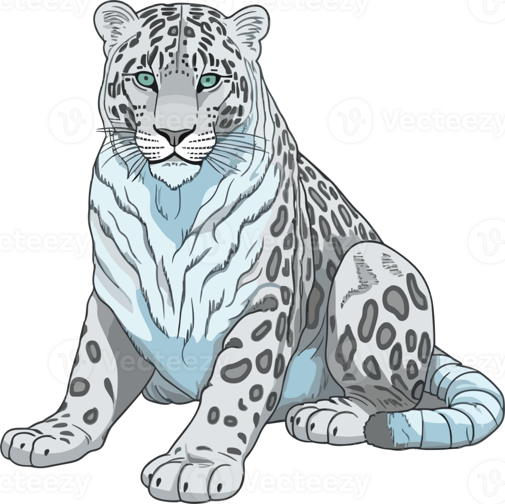 Snow Leopard Illustration 26414517 PNG
