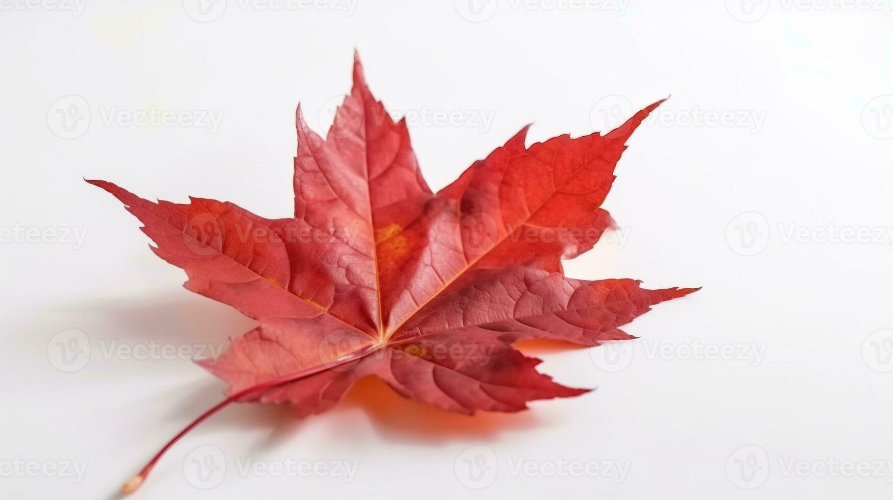 Canada Independence Day. Red maple leaf on a white background, close-up. AI generated. photo