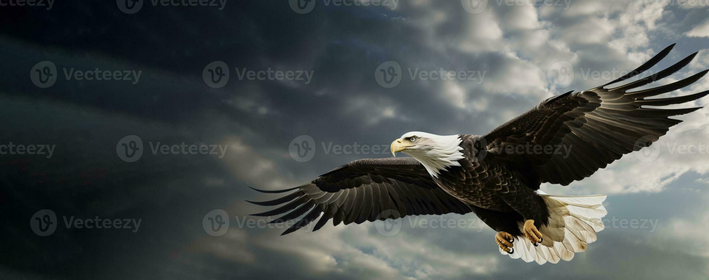 US Independence Day July 4th, a soaring bald eagle against a daytime cloudy sky. AI generated. photo