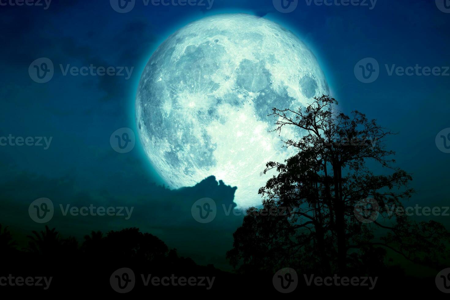 Super blue strawberry moon back on cloud and tree in the field and night sky photo