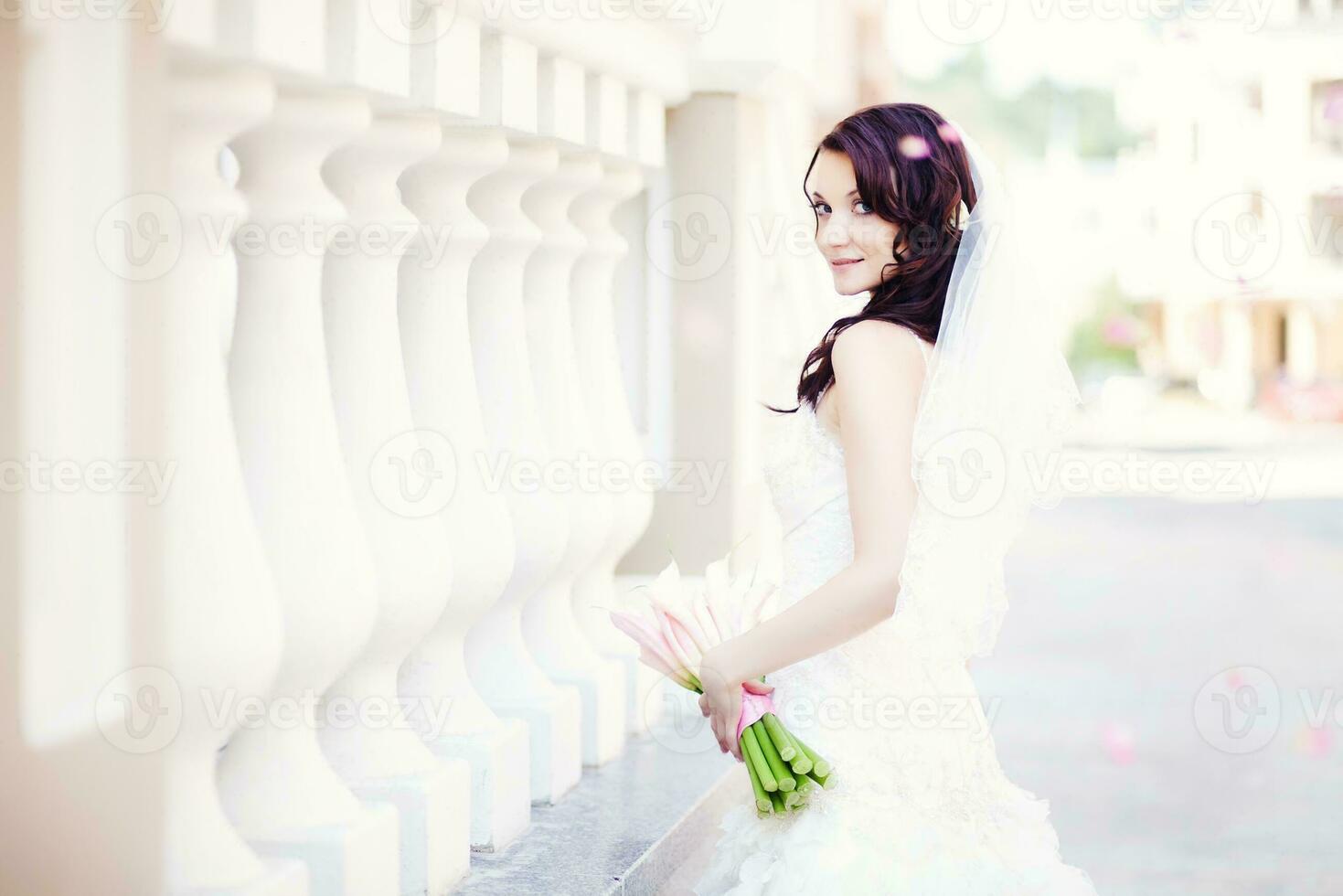 Beautiful bride portrait photo