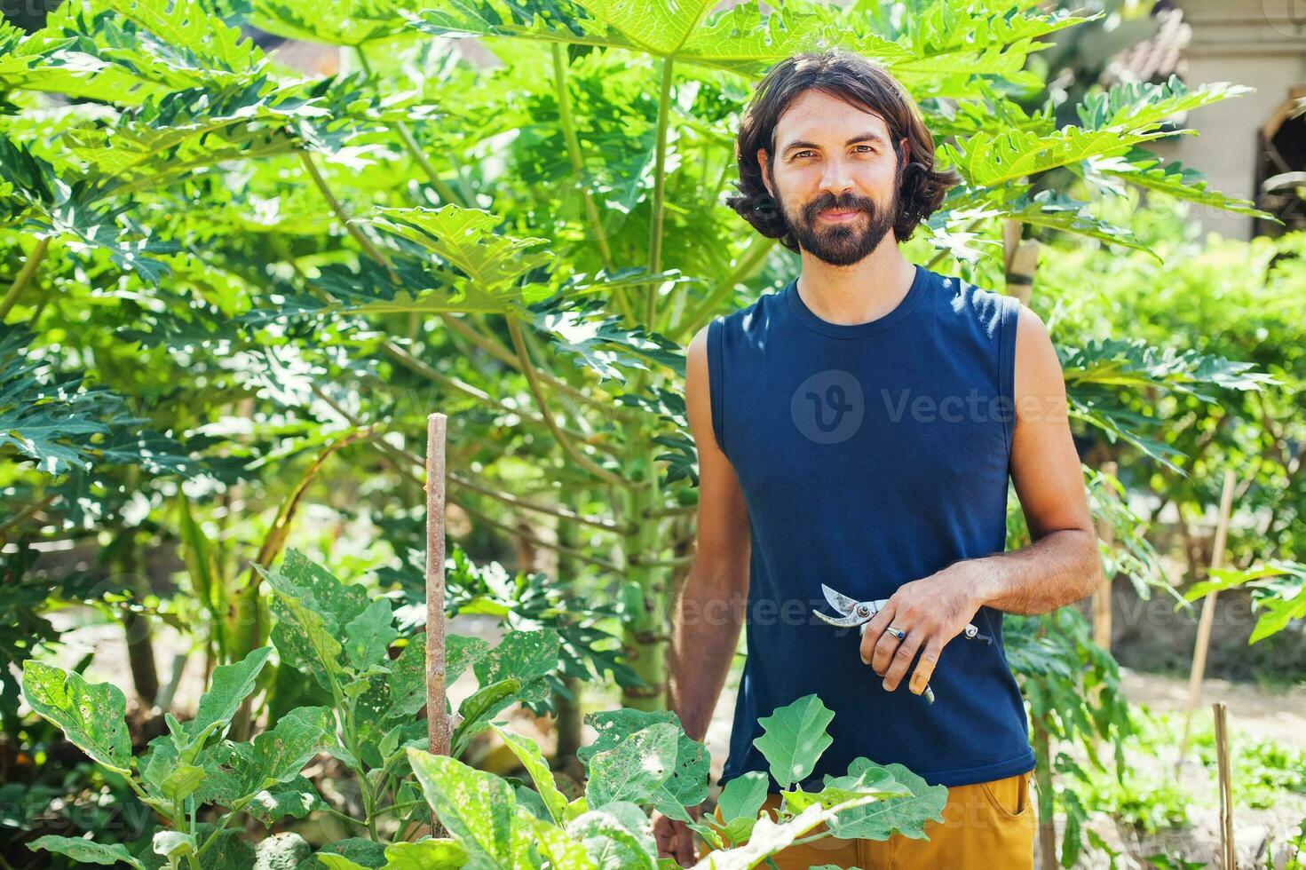 Young man gardening and growing vegetables photo