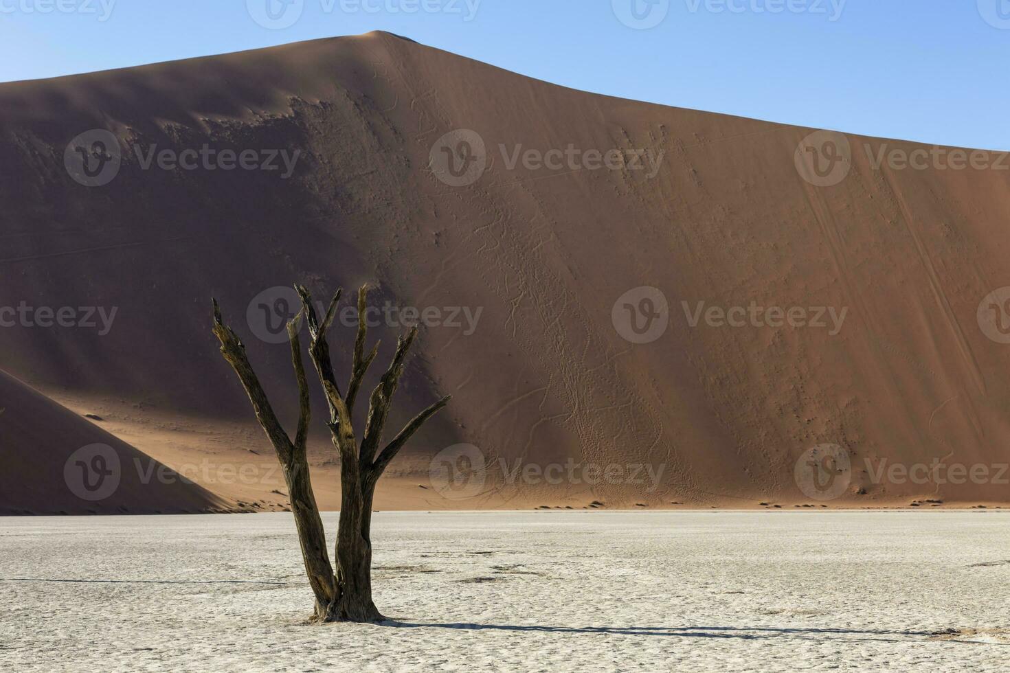 Tracks in the sand up the dune at Deadvlei photo