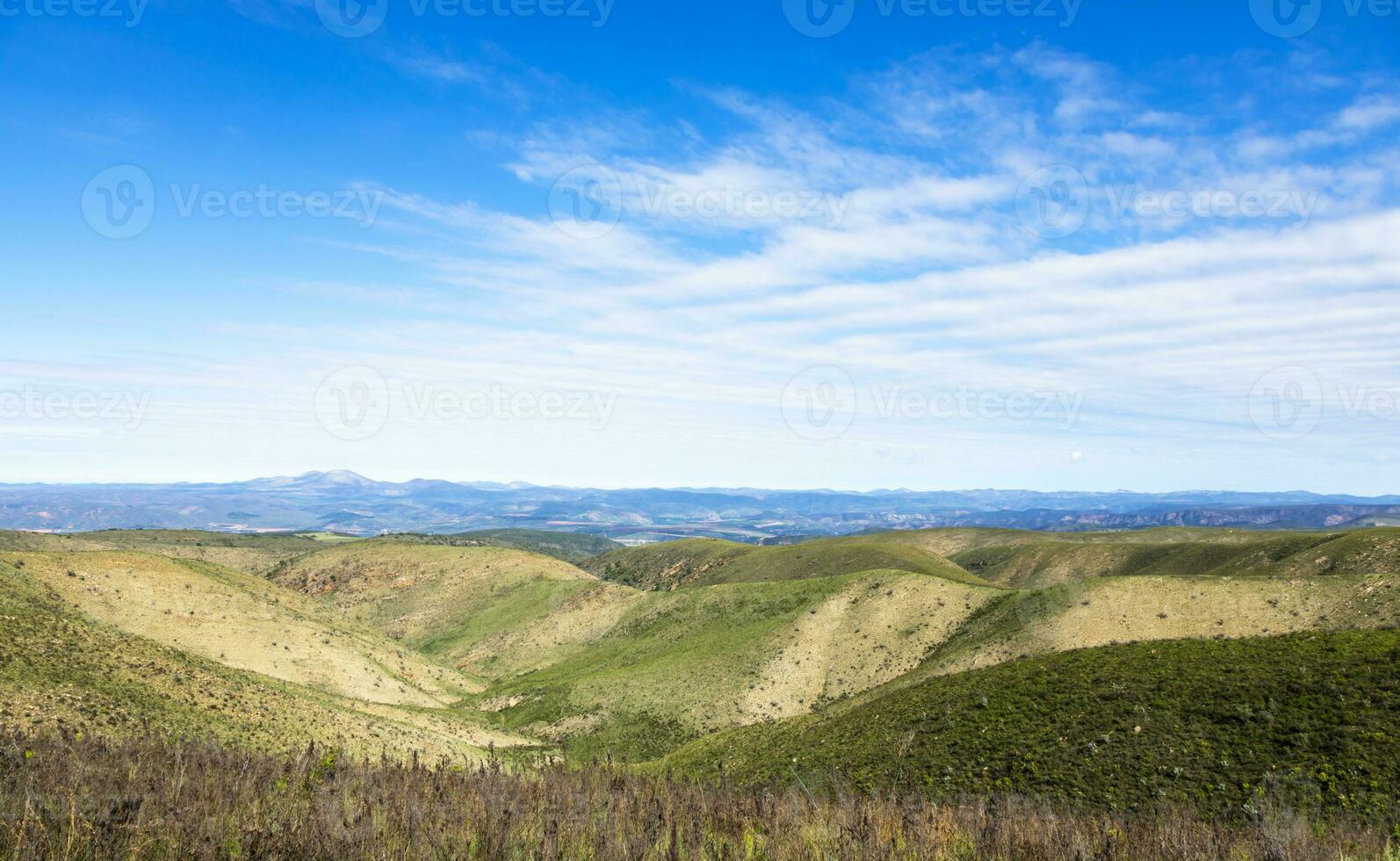 Hills covered with green grass at Baviaanskloof photo