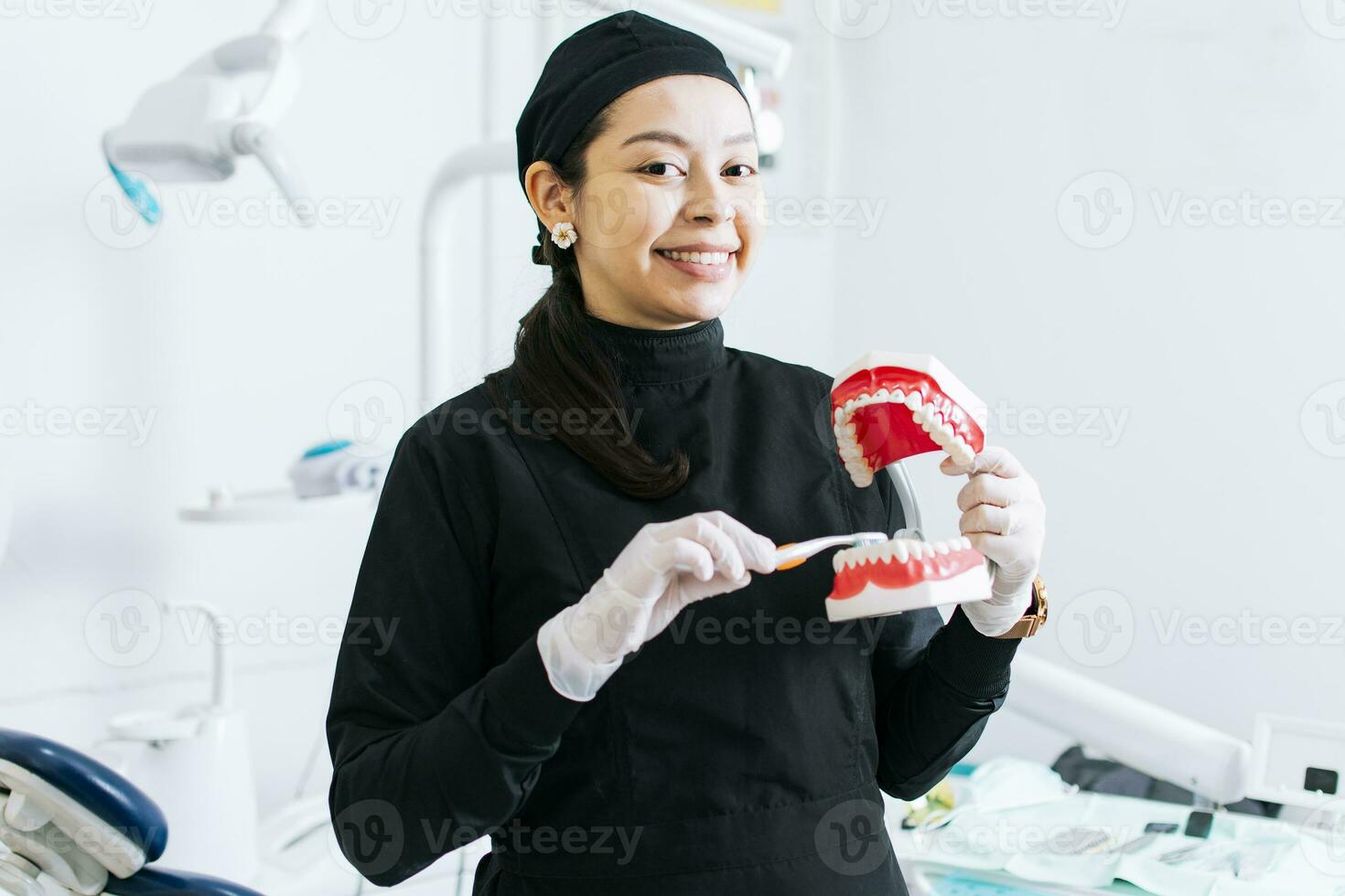 Smiling female dentist showing a denture, Dentist explaining tooth brushing, female dentist showing a denture and brush photo