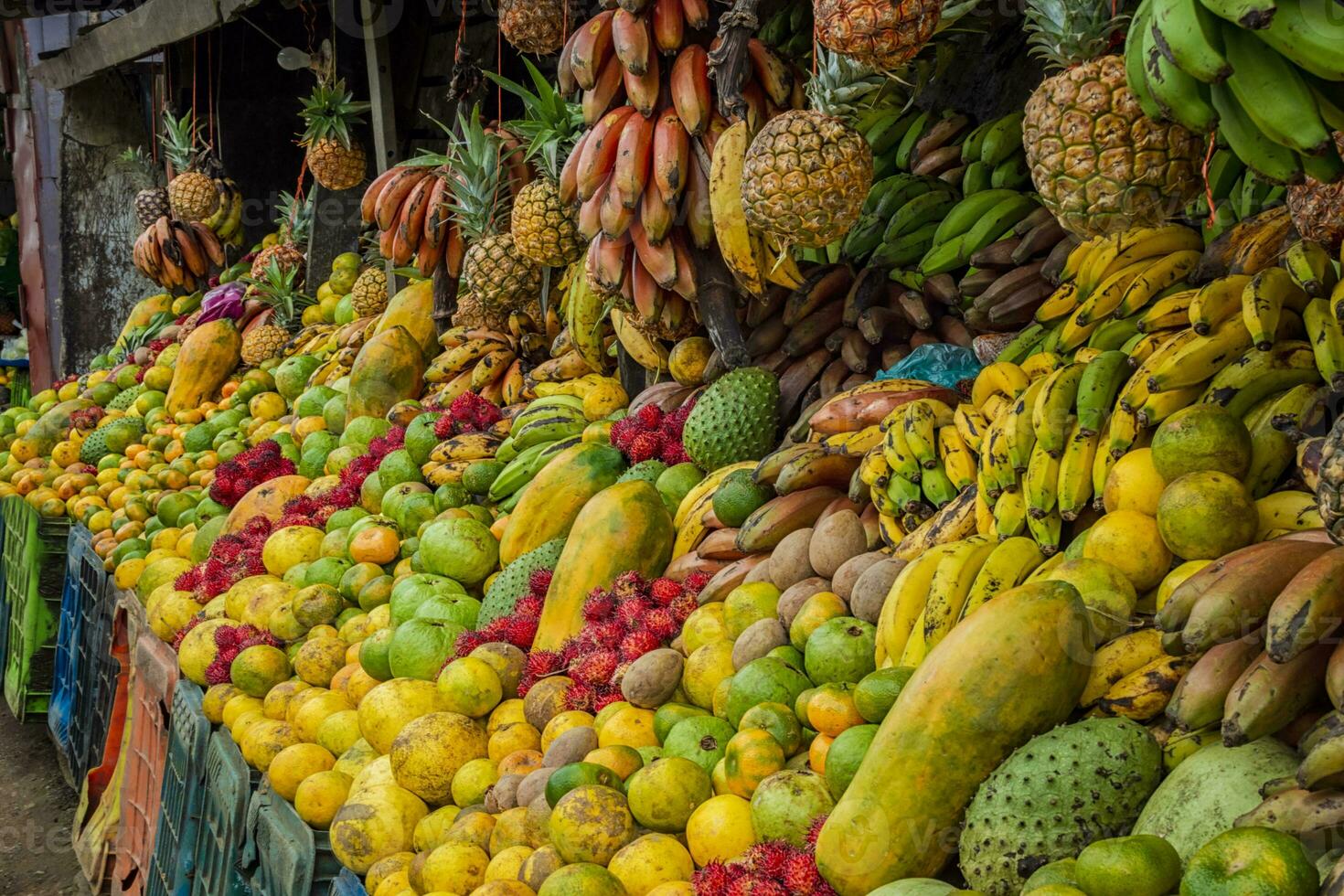 Shelf of many fresh fruits, fresh fruit stall, concept of fruits and healthy food, sale of various fruits photo