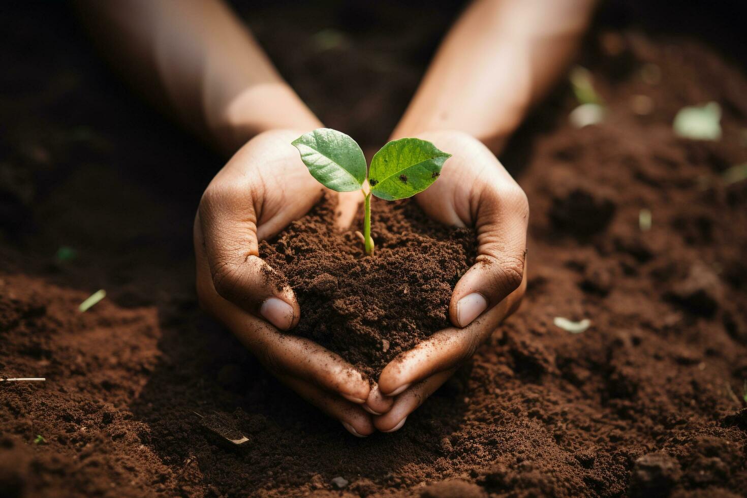 Hand tenderly holding a heart shaped patch of soil, Ai Generative photo