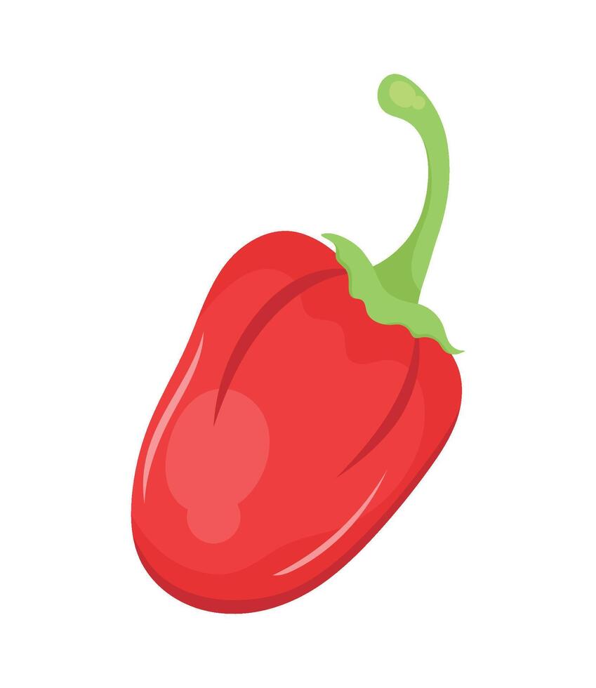 poblano rojo chile pimienta icono vector