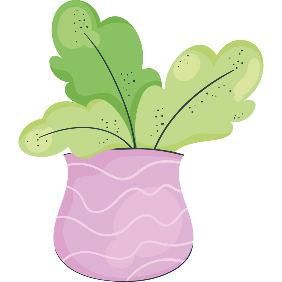 houseplant in lilac vase icon png