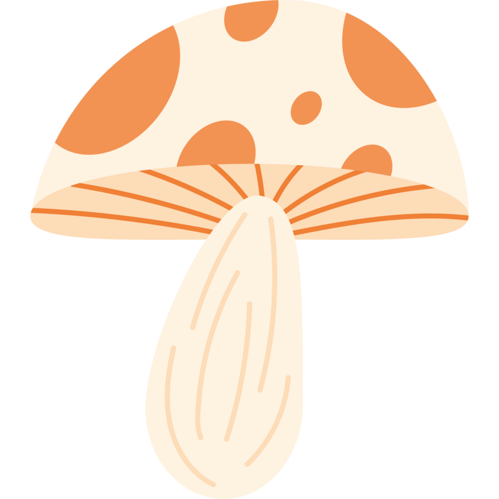 spring fungus plant garden nature icon png