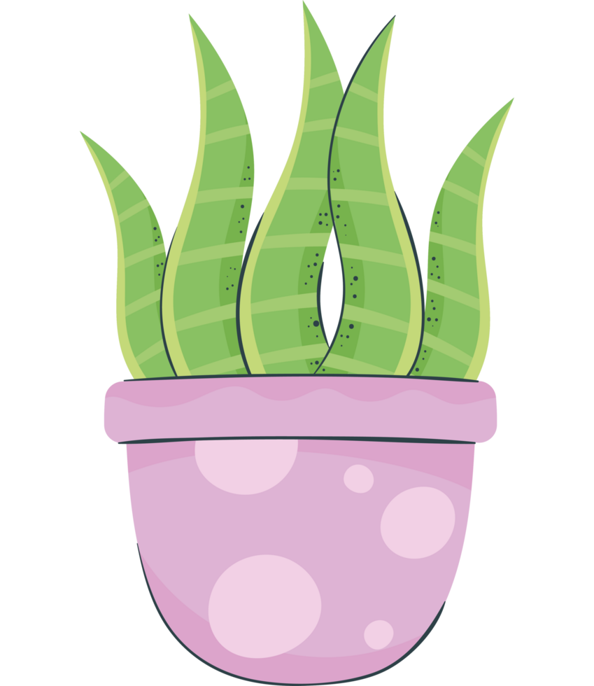 houseplant in purple pot icon png