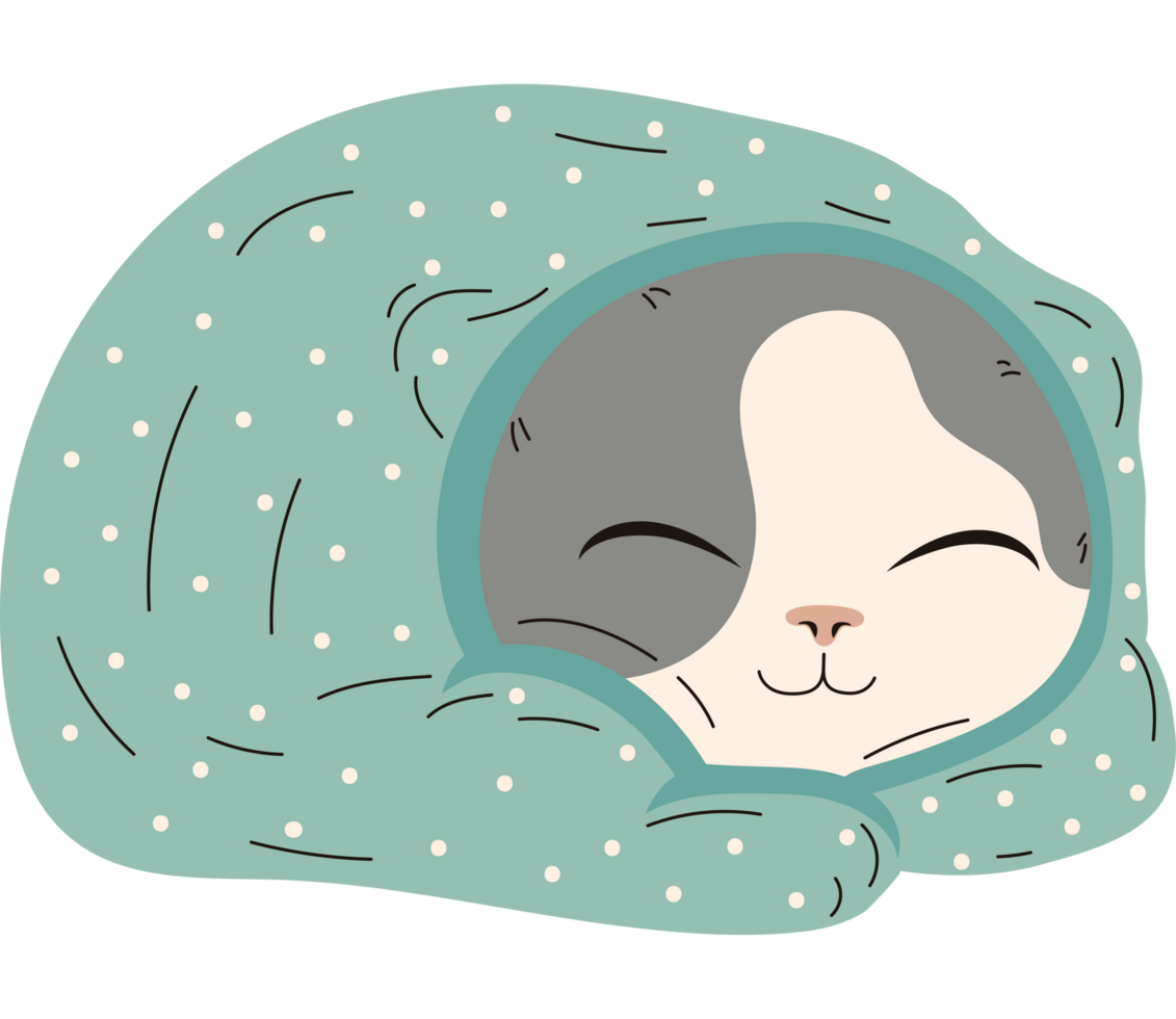 cat sleeping with blue blanket png