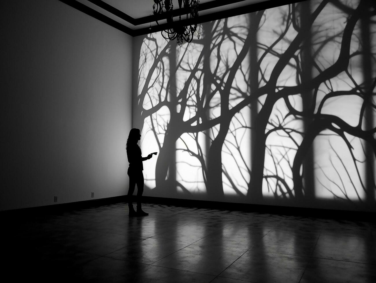 black and white picture of a silhouette in the empty room generative AI photo