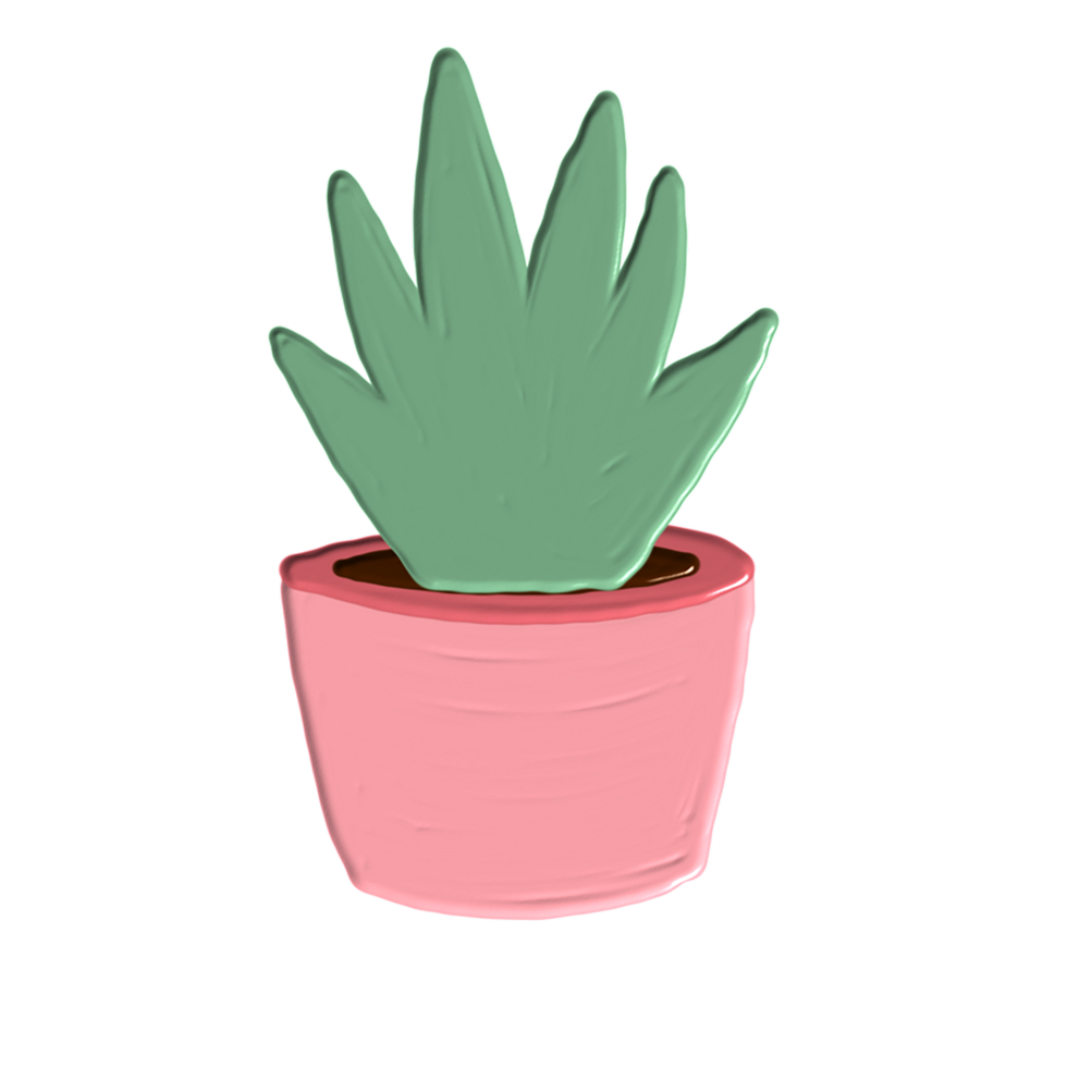 Indoor plants decoration png