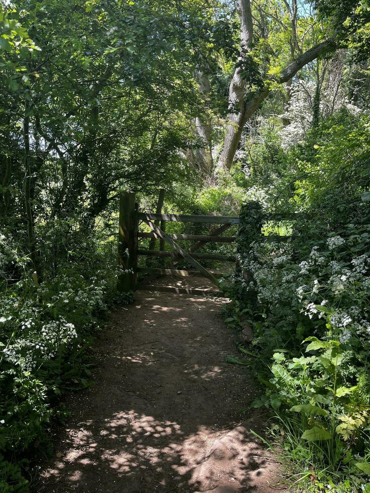 Countryside forest path and gate photo