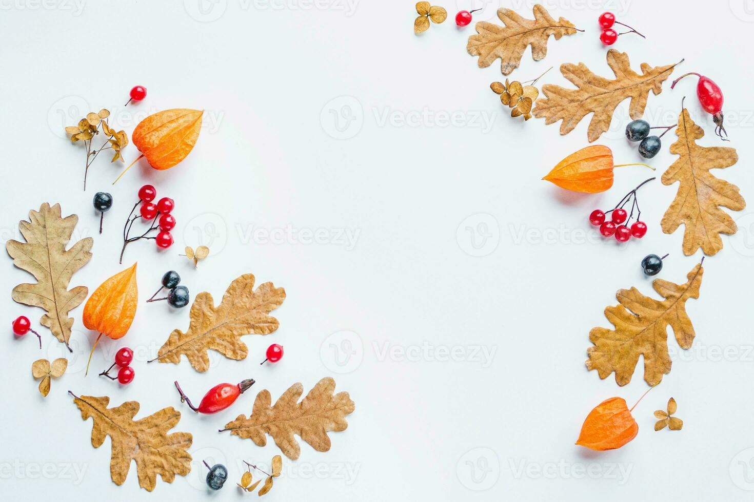 Autumn floral background dried leaves flowers berries arranged in frame on white background copy space photo