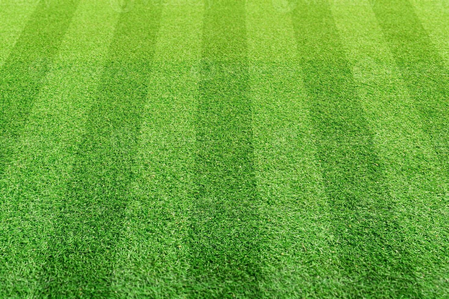 Stripe grass soccer field. Sport lawn background. photo