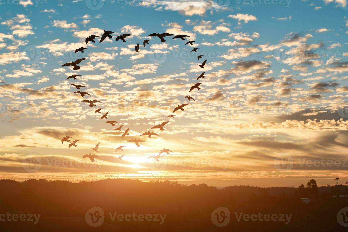 Silhouette of flying flock birds in shape heart against sky sunset background. photo