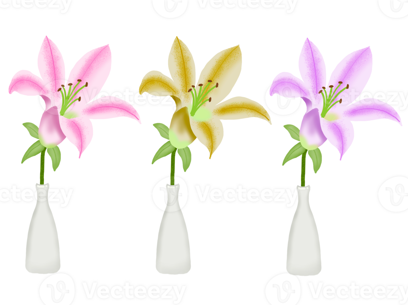 Lilly in vase for decoration png
