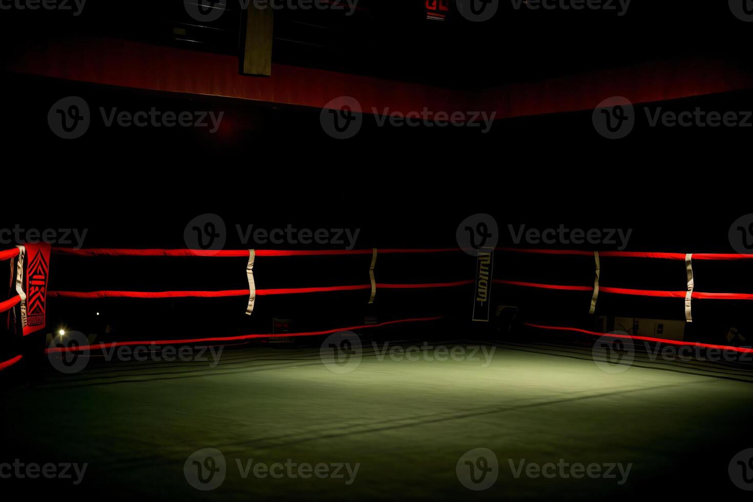An Empty Boxing Ring Lit Up At Night. photo