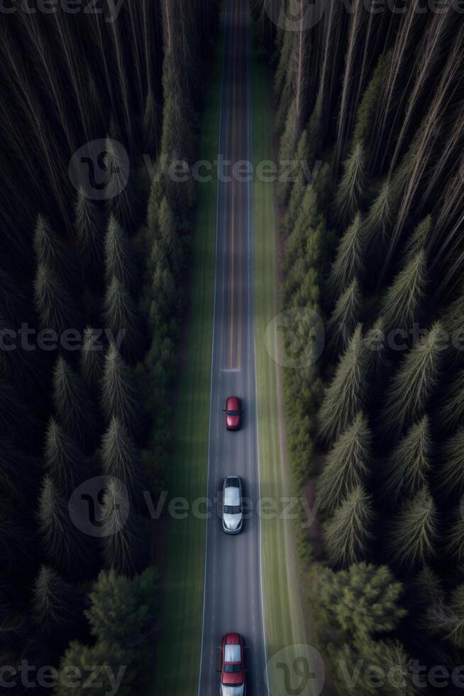 dos carros conducción abajo un la carretera en el medio de un bosque. ai generado foto