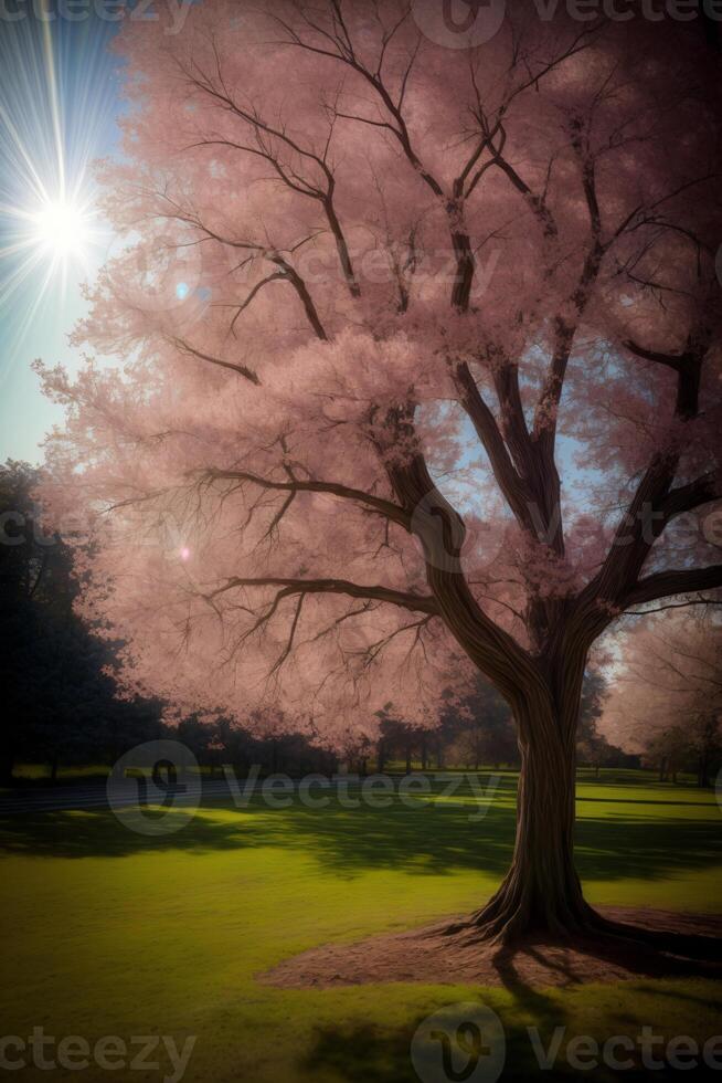 A Tree With Pink Flowers In A Park. AI Generated photo