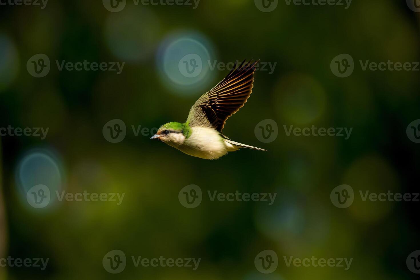 A Green And White Bird Flying Through The Air. photo