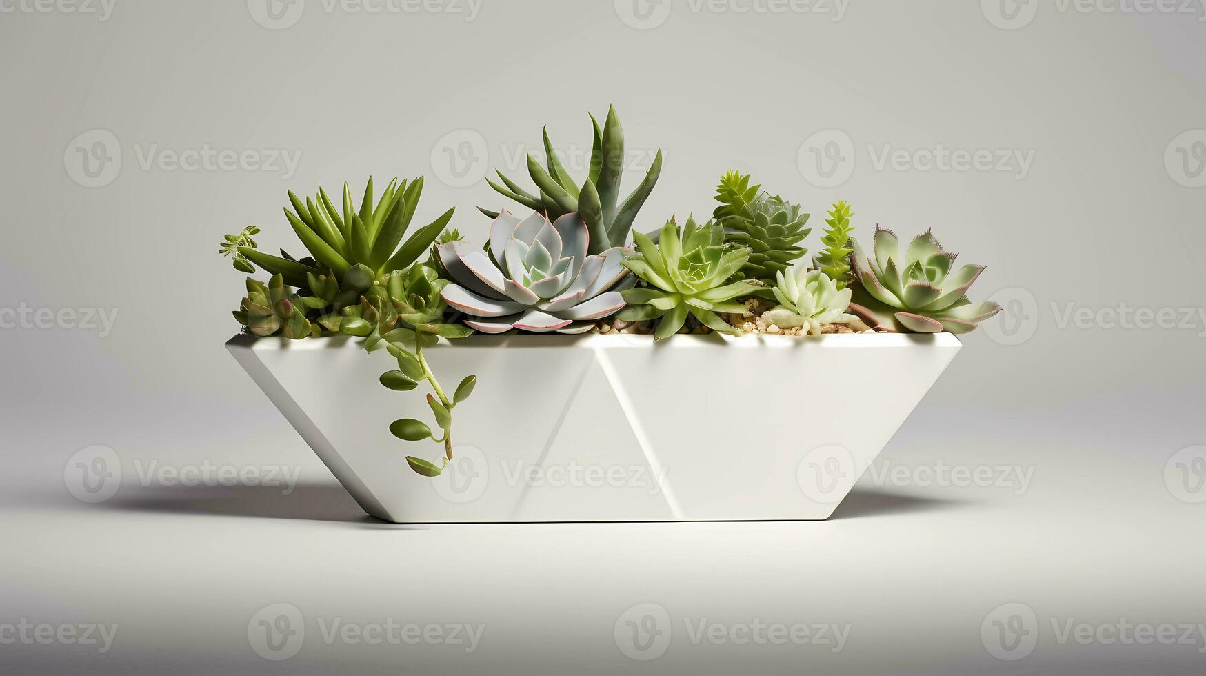 AI Generative Modern geometric shaped planter housing an assortment of vibrant succulents photo