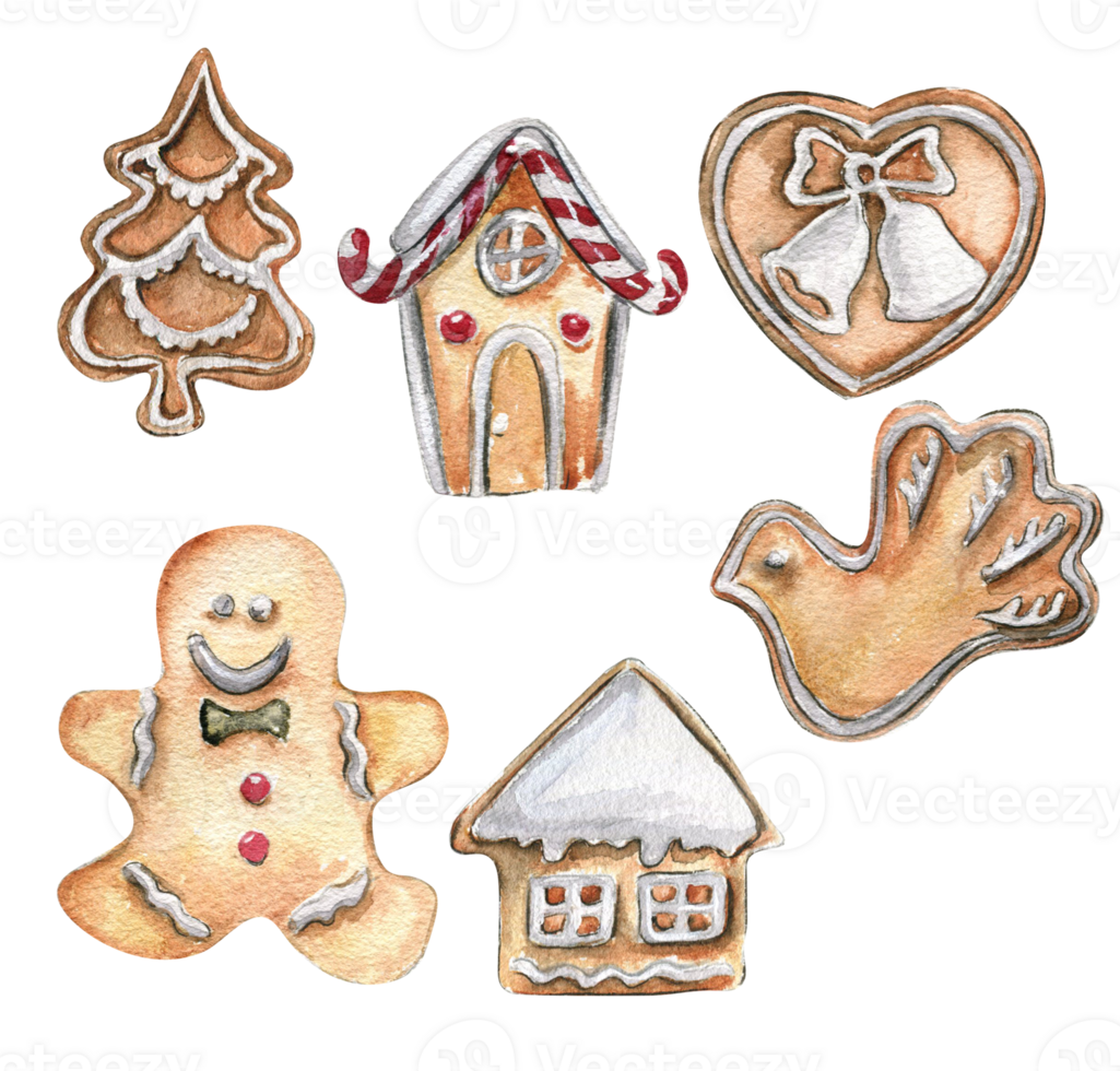 A set of Christmas cookie. Hand drawn watercolor illustration of pastry in bird, house, heart form for winter holiday. png