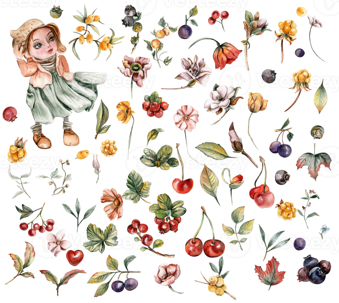 Watercolor set of fall flowers, leaves and berries. png