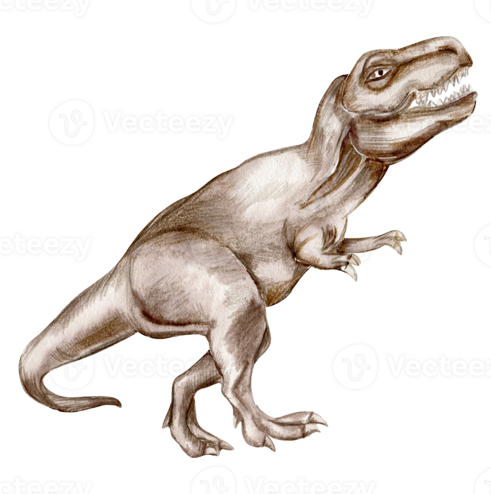 Watercolor hand drawn tropical dinosaur, png