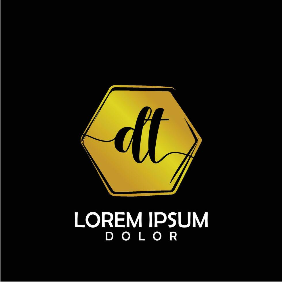DT Initial Letter handwriting logo with circle brush template vector