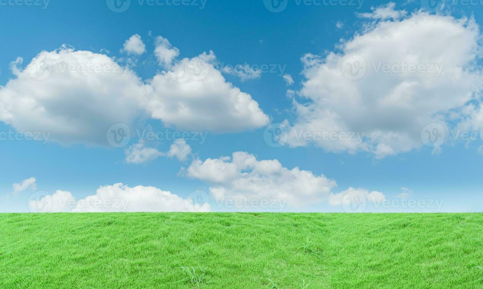 Green grass meadow and blue sky background. Natural field landscape photo