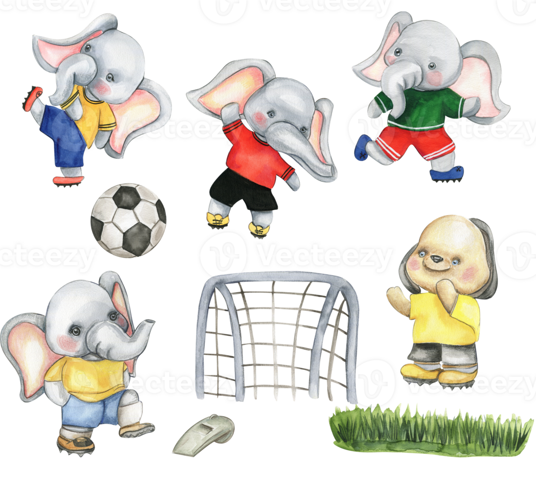 Set of elephant football player watercolor illustration. png