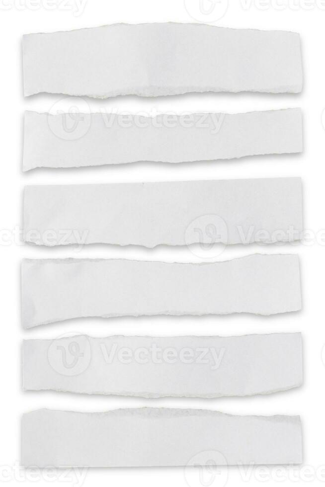 Collection of white paper tear isolated on white background. with clipping path photo