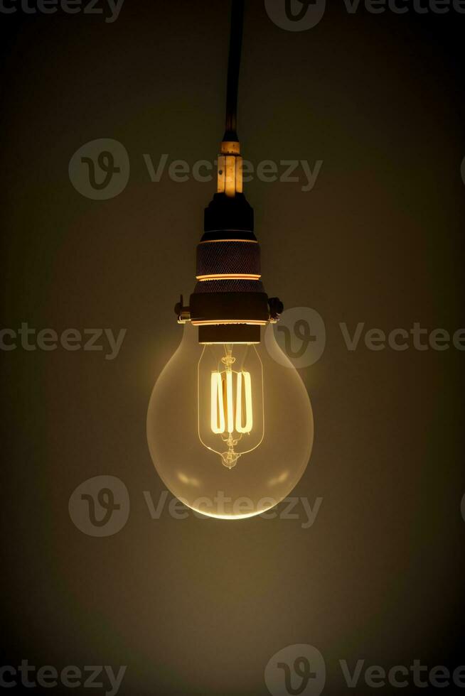 A Light Bulb That Is Turned On And Turned On. AI Generated photo