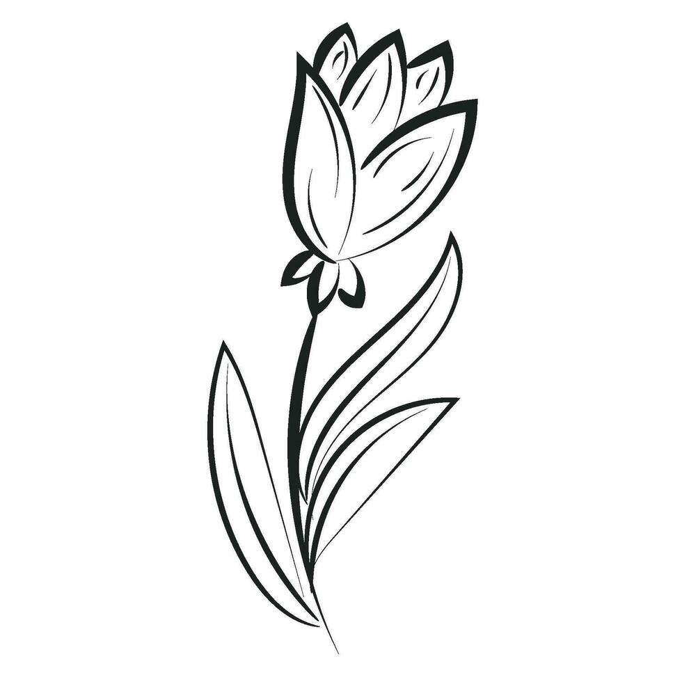 Hand Drawn spring flower design. Cute floral decoration icon vector illustration design