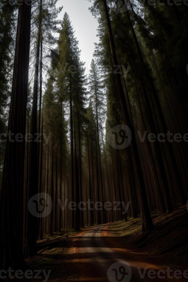 A Dirt Road In The Middle Of A Forest. AI Generated photo