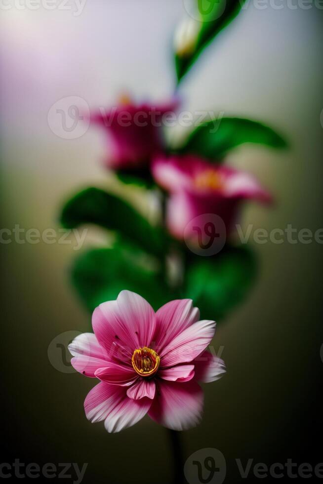 un cerca arriba de un rosado flor con verde hojas. ai generado foto